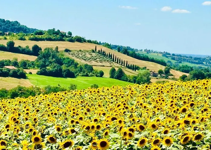 Casa Stella Country House