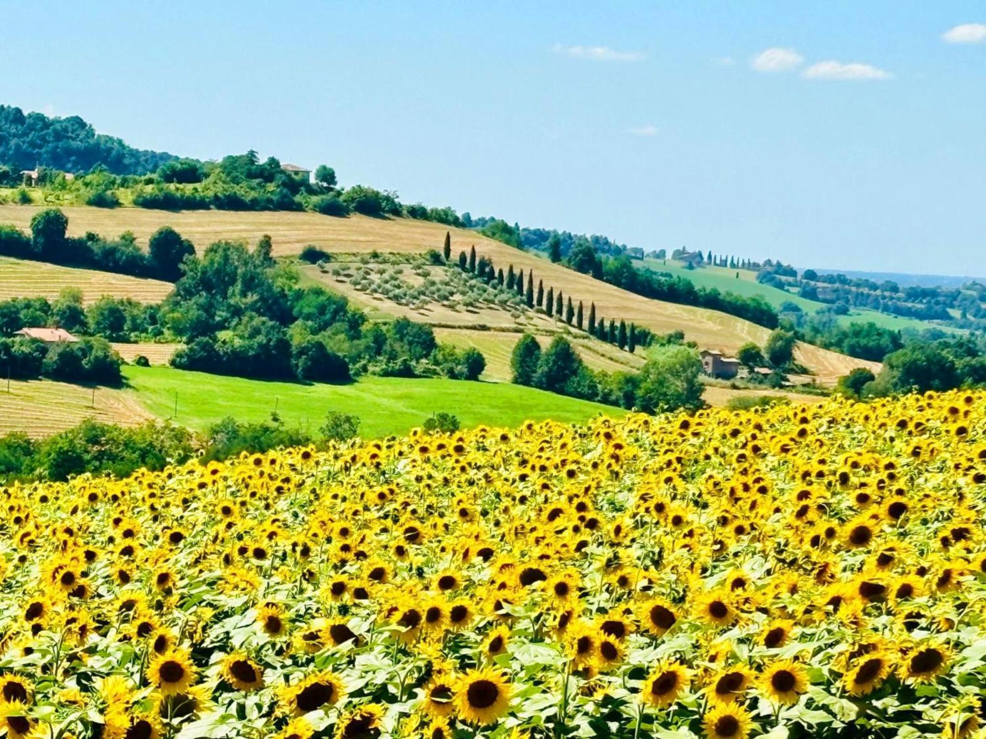 Casa Stella *