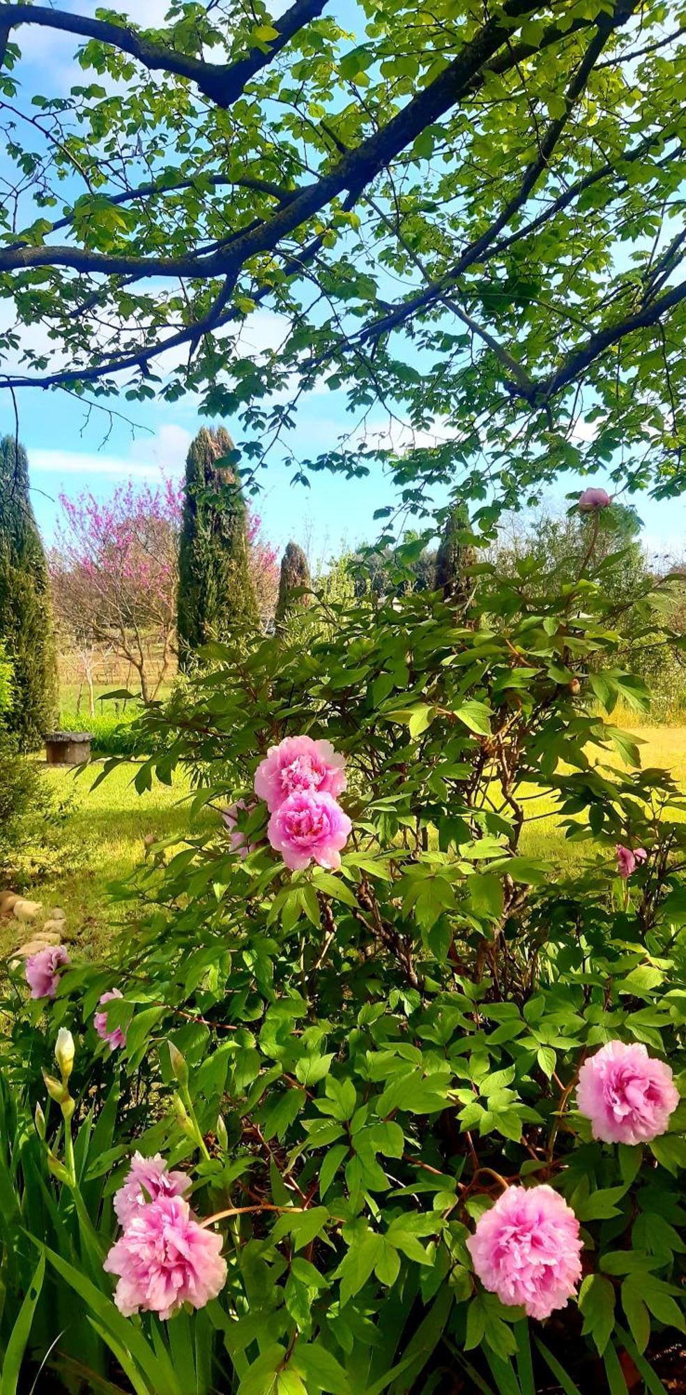 Casa Stella Bed & Breakfast *